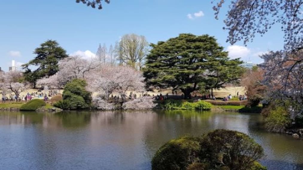 Shinjuku Gyoen National Garden-1